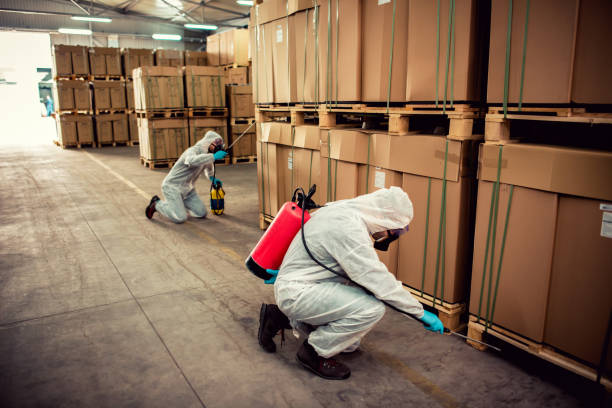 Best Emergency Pest Control  in Lenexa, KS