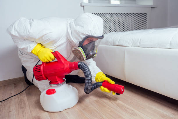Best Pest Control Near Me  in Lenexa, KS