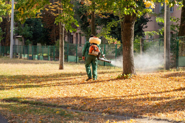 Best Bird Control  in Lenexa, KS