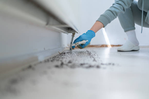 Best Pest Inspection Near Me  in Lenexa, KS